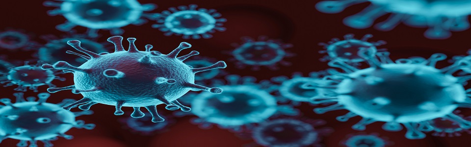 Virus & Infection control